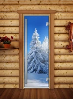 Стеклянная дверь для бани и сауны Престиж фотопечать А079 (DoorWood)