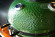 Керамический гриль SG с окошком, 57 см / 22 дюйма (зеленый) (Start Grill) в Казани